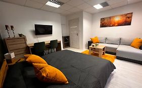 Apartmany V Centre - Vlastna Izba So Spolocnou Kuchynou A Kupelnou Moze Byt Zdielana 2 Inymi Izbami