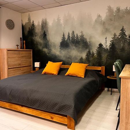 Apartmany V Centre - Vlastna Izba So Spolocnou Kuchynou A Kupelnou Moze Byt Zdielana 2 Inymi Izbami Martin Exteriér fotografie