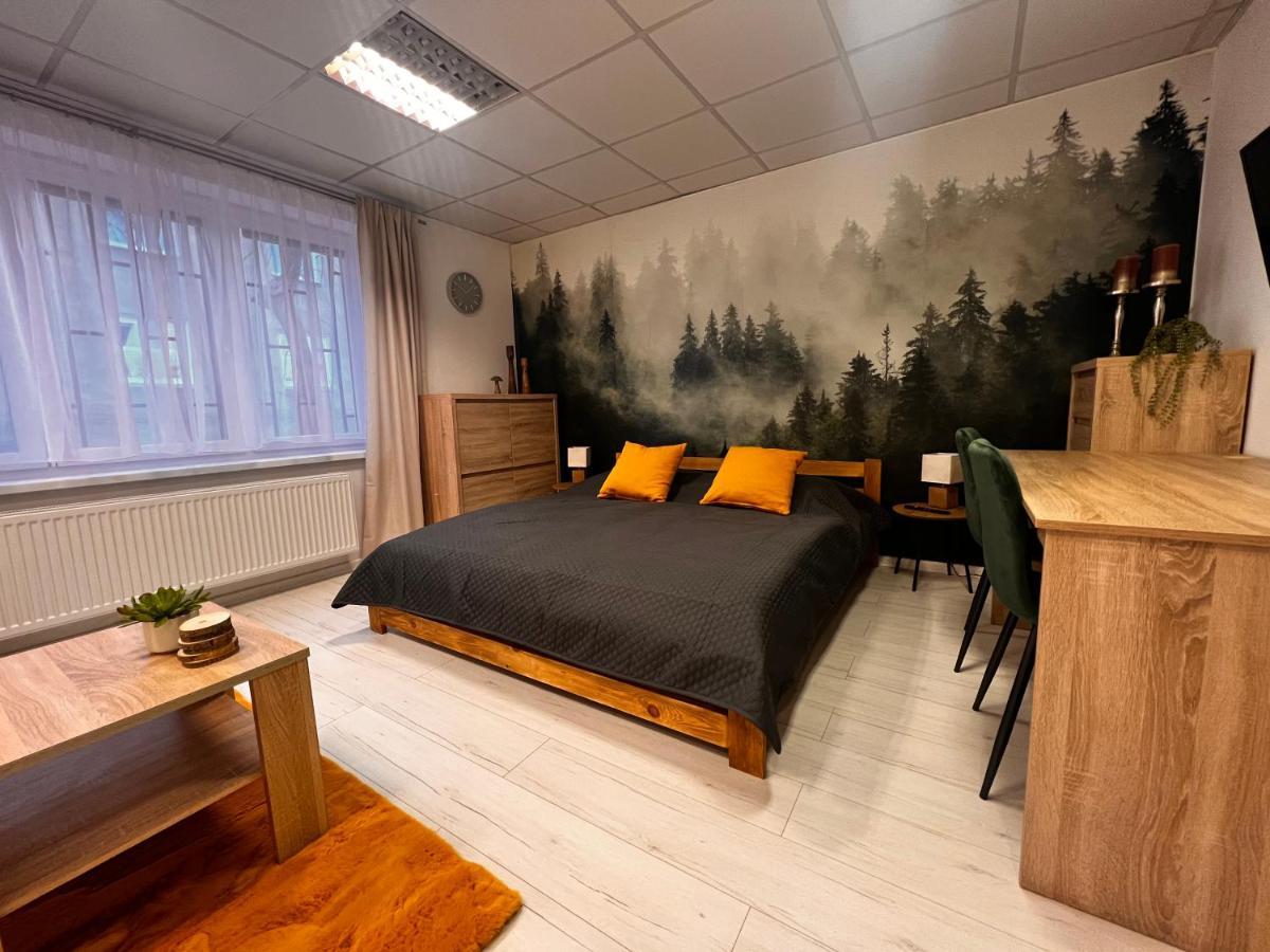 Apartmany V Centre - Vlastna Izba So Spolocnou Kuchynou A Kupelnou Moze Byt Zdielana 2 Inymi Izbami Martin Exteriér fotografie
