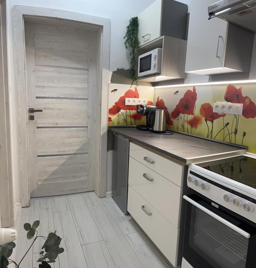 Apartmany V Centre - Vlastna Izba So Spolocnou Kuchynou A Kupelnou Moze Byt Zdielana 2 Inymi Izbami Martin Exteriér fotografie