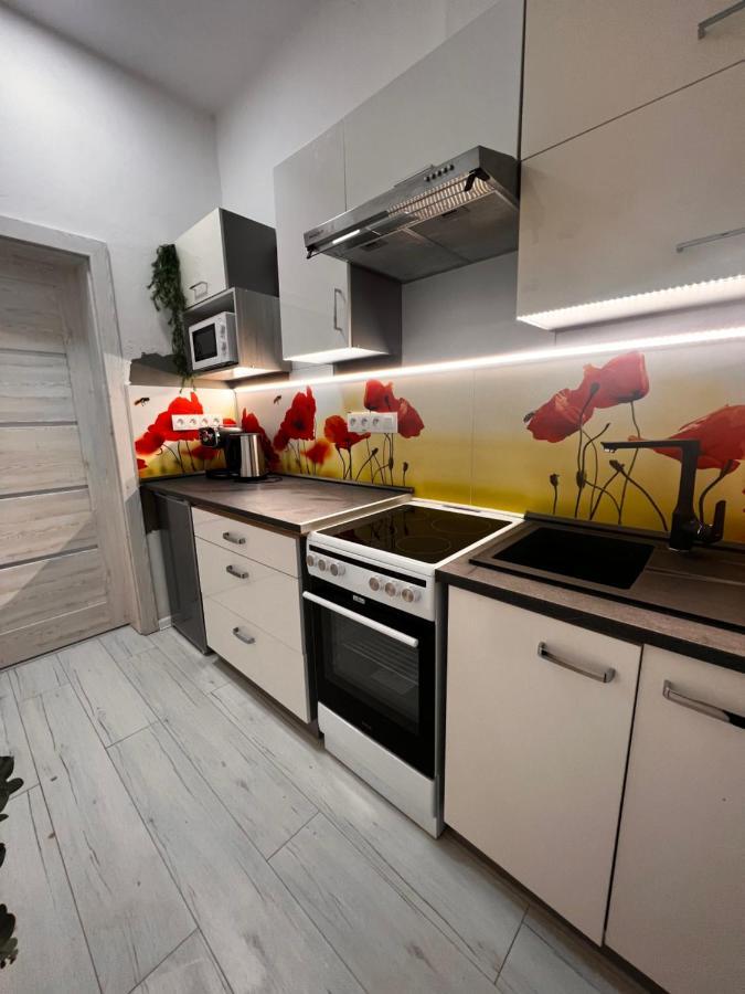 Apartmany V Centre - Vlastna Izba So Spolocnou Kuchynou A Kupelnou Moze Byt Zdielana 2 Inymi Izbami Martin Exteriér fotografie